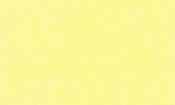 Decorazza STUCCO VENEZIANO / Цвет #SV  10-02